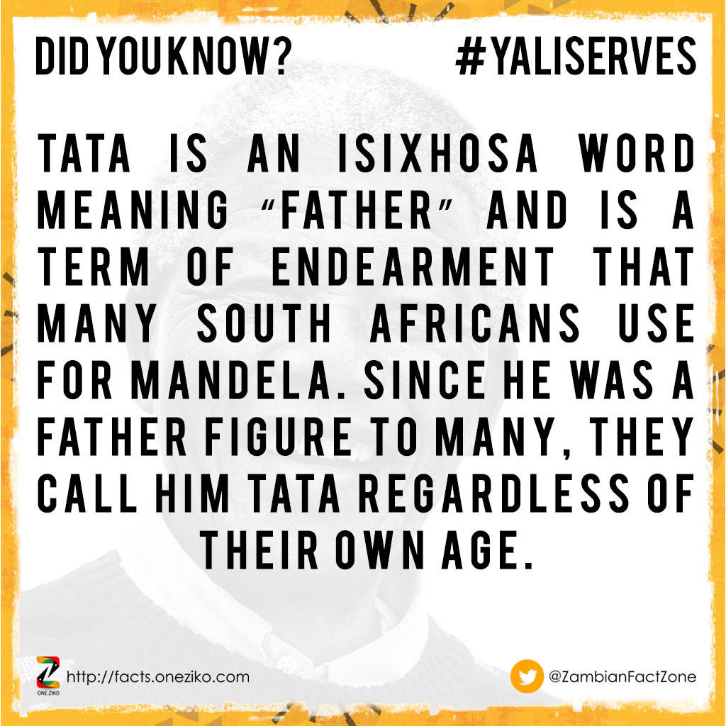 Tata is an isiXhosa word meaning “father” and is a...